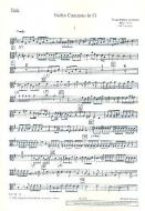 Concerto G Major 