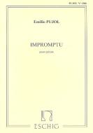 Pujol Impromptu Pujol 1206 Guitare 