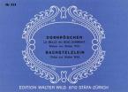 Bachstelzlein 