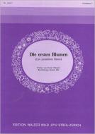 Die ersten Blumen 