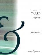 Foxgloves In C 