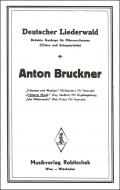Trösterin Musik 