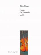 Caprice in Form einer Chaconne op. 43 
