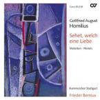 Sehet, welch eine Liebe 