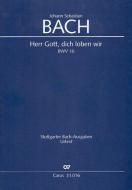 Herr Gott, dich loben wir Standard