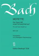 The Spirit Also Helpeth Us BWV 226 