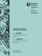 Double Bass Concerto in B minor 