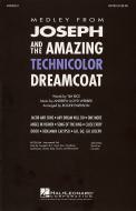 Joseph And The Amazing Technicolor Dreamcoat 