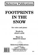 Footprints In The Snow 