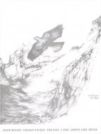 Catalogue D Oiseaux Vol. 1 