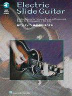 Electric Slide Guitar 