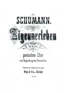 Zigeunerleben 