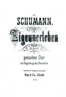 Zigeunerleben 