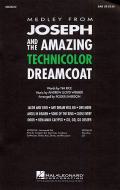 Joseph and The Amazing Technicolor Dreamcoat 