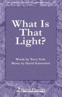 What Is That Light? 