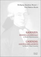 Cadenzas 