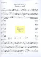 Concerto E Minor P 109 