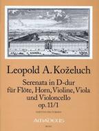Serenata in re maggiore op. 11/1 