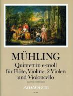 Quintetto in mi minore op. 27 