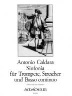 Sinfonia in do maggiore 