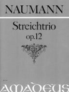 Trio in re maggiore op. 12 