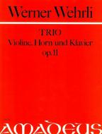 Trio op. 11 in re minore 
