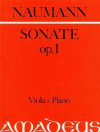 Sonata op. 1 in sol minore 