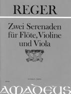 Due serenate op. 77a in re maggiore e op. 141a in sol maggiore 