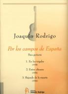Por los campos de Espana 