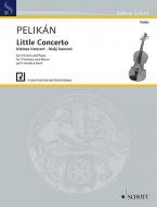 Concerto piccolo Standard