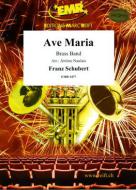 Ave Maria Standard