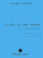 Licht in der Nacht 