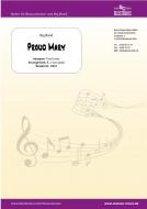 Proud Mary 