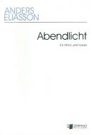 Abendlicht 