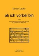 eh ich vorbei bin 