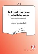 Ik kniel hier aan Uw kribbe neer 