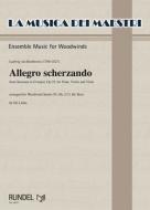 Allegro scherzando 