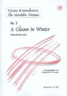 A Gleam in Winter 