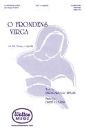 O Frondens Virga 
