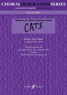 Memory & Others From Cats 