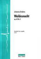 Waldesnacht 