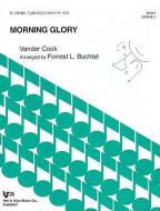 Morning Glory 