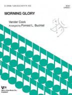Morning Glory 