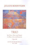Introduction et Polonaise Op. 30 