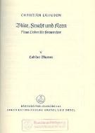 Blüte, Frucht und Kern Standard