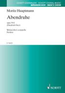 Abendruhe C-Dur op. 55/4 Standard
