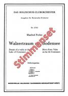 Walzertraum am Bodensee 