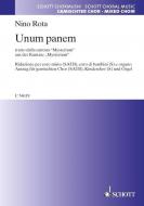 Unum panem Standard