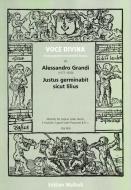 Justus germinabit sicut lilius 