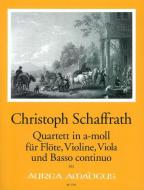 Quartetto in minore 